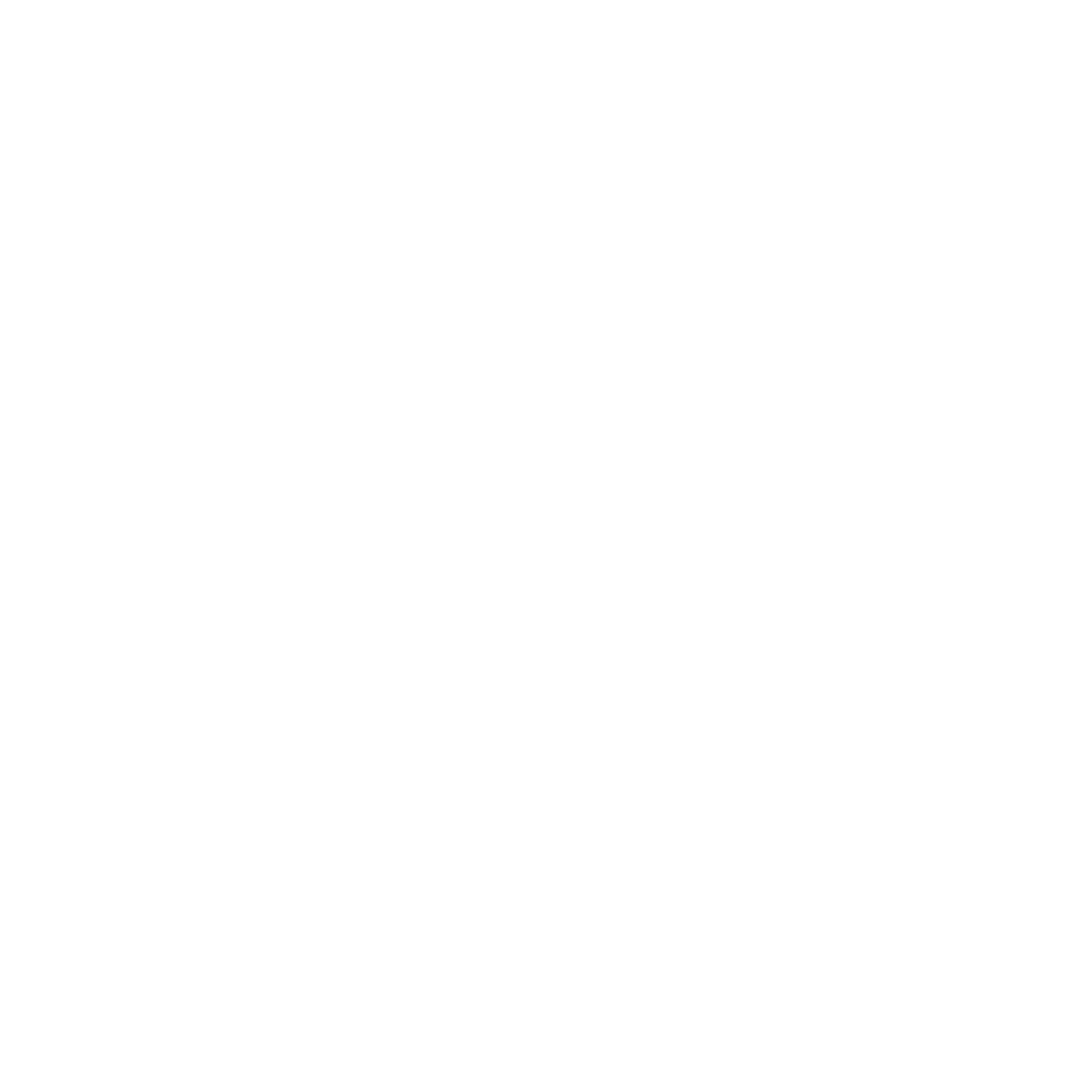 An icon representing safety.