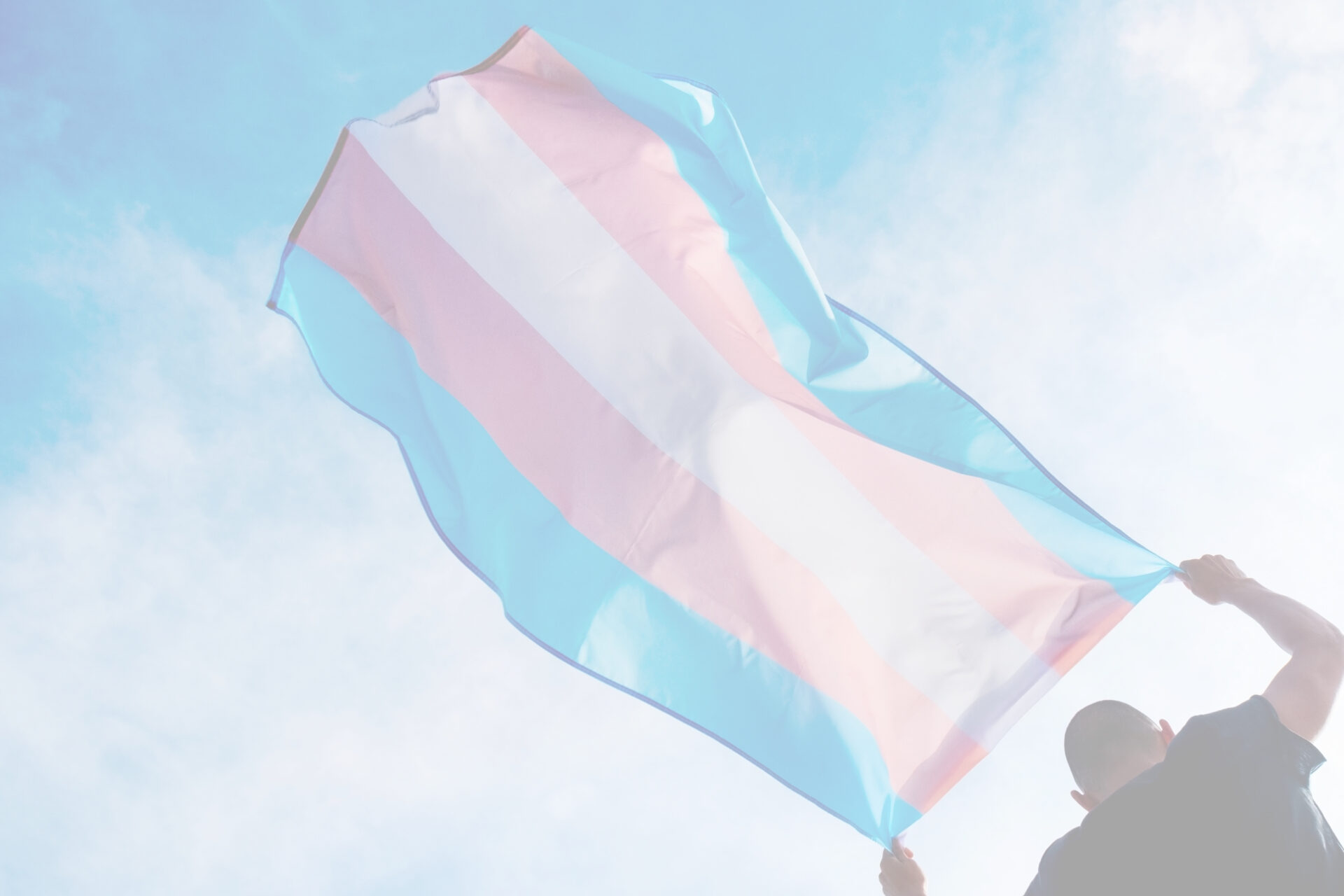 An image of a person holding the transgender pride flag.